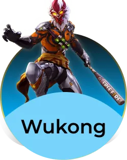 Skin Tool